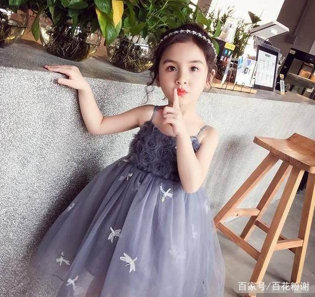 军犬麦克斯 视频缩略图