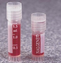 哥伦布怪圈 视频缩略图