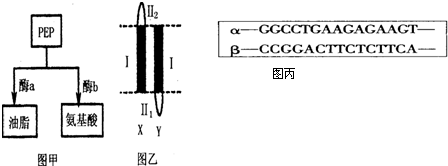 僵尸新人仔 视频海报
