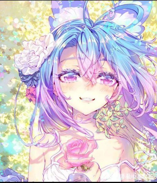 停止 视频缩略图