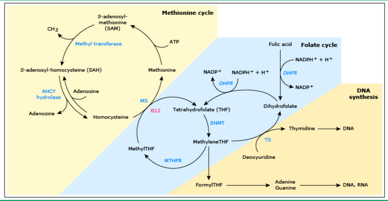 你是夜晚 视频缩略图