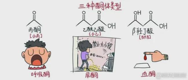 作家的洞穴 视频缩略图
