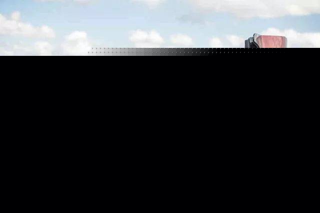 凶猫 兇貓 视频缩略图