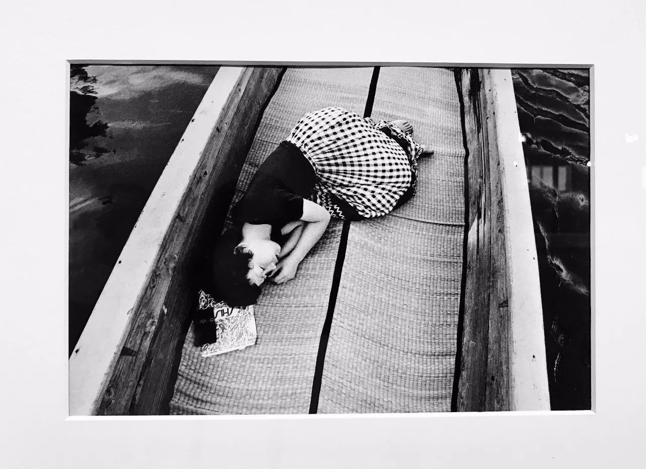 冰下的鱼 视频海报