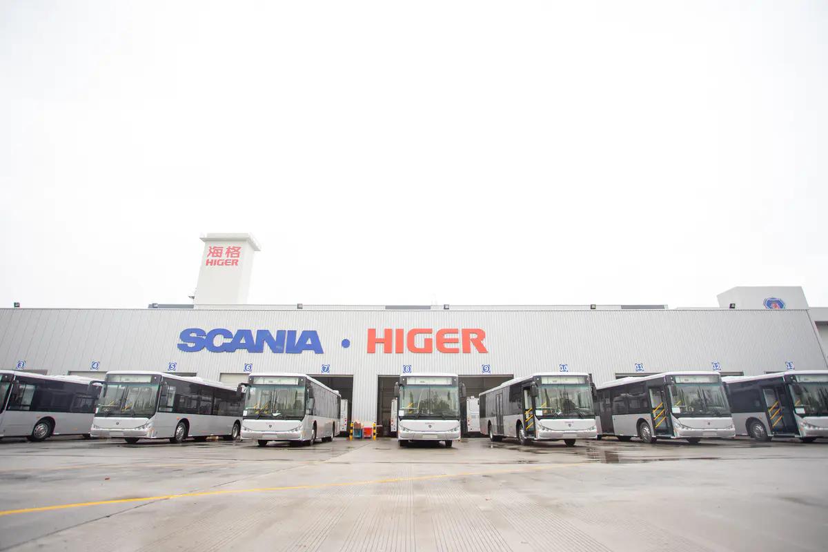 印度大兄 视频海报