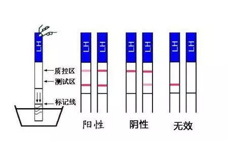 信托基金 视频缩略图