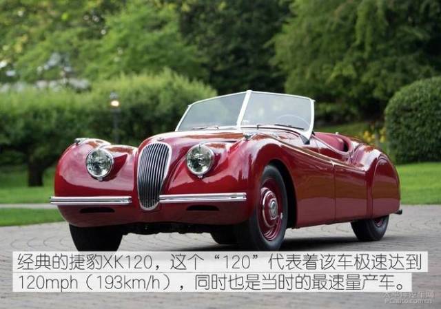 仙后座 视频缩略图