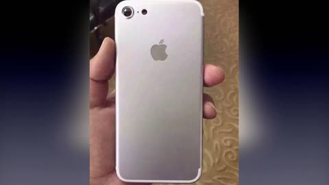 伊丽莎 施莱辛 不同的动物 视频缩略图