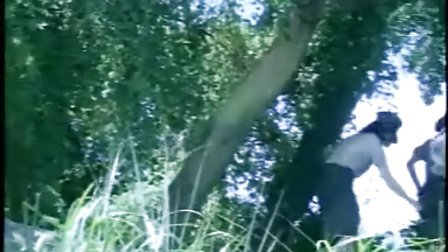 倩女幽魂：人间情 视频海报