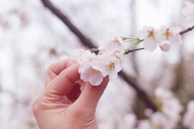 埃德蒙·肯珀 视频缩略图