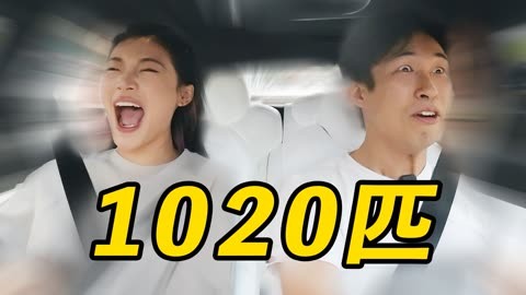 凶猫 兇貓 视频海报