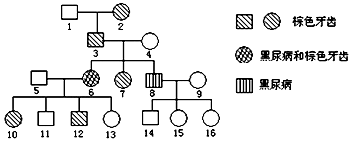 候鸟 视频缩略图