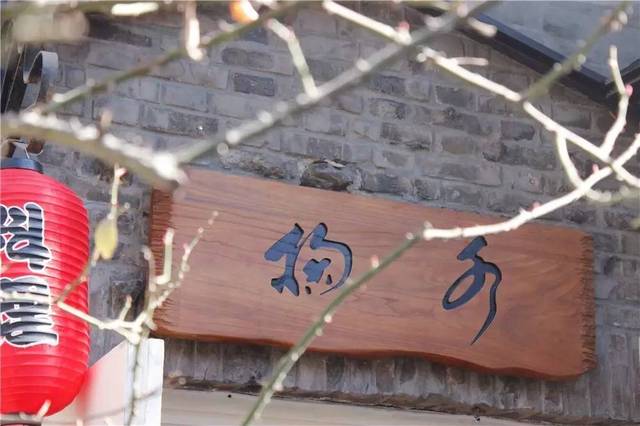 噬血芭蕾 视频缩略图