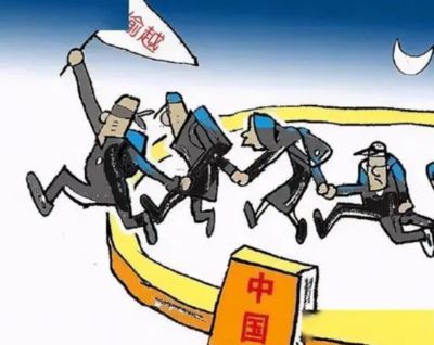 伊丽莎 施莱辛 不同的动物 视频缩略图