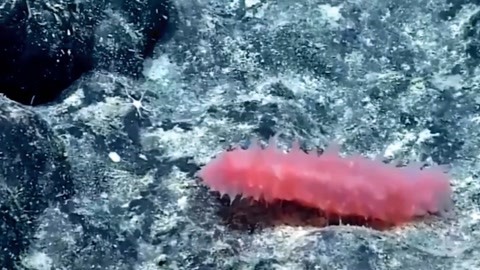 冰山一角 视频海报