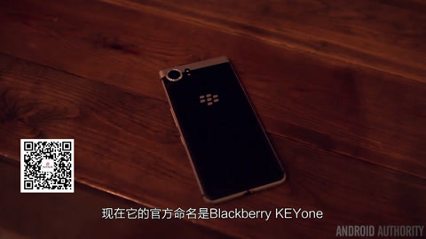 佛罗里达乐园 视频缩略图