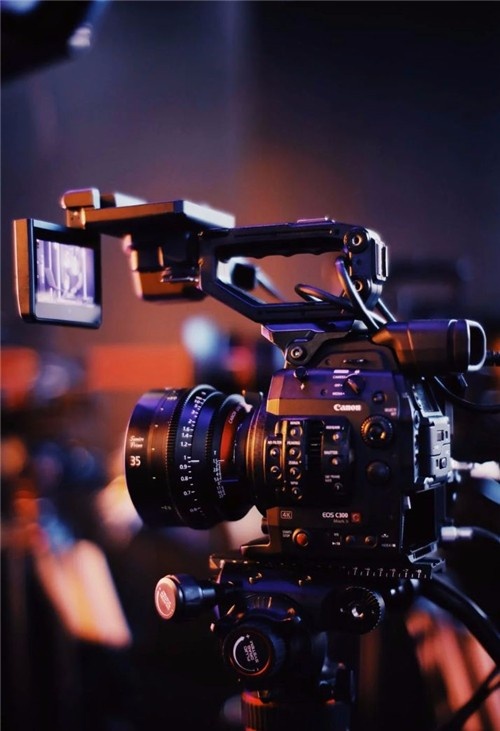 伤物语 -历与吸血鬼 视频缩略图