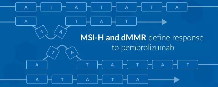 一个烂赌的传说 视频主图