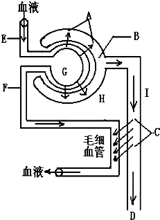 夜叉 视频缩略图
