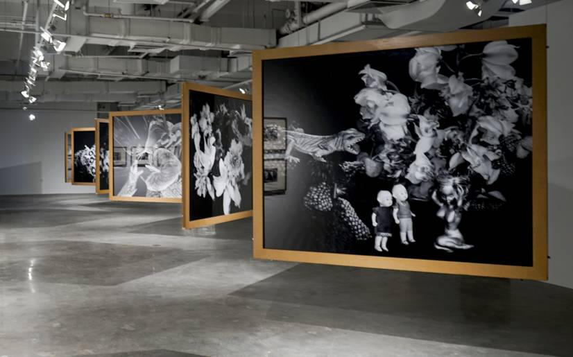 冷酷无情 冰咖啡毒杀案 视频海报