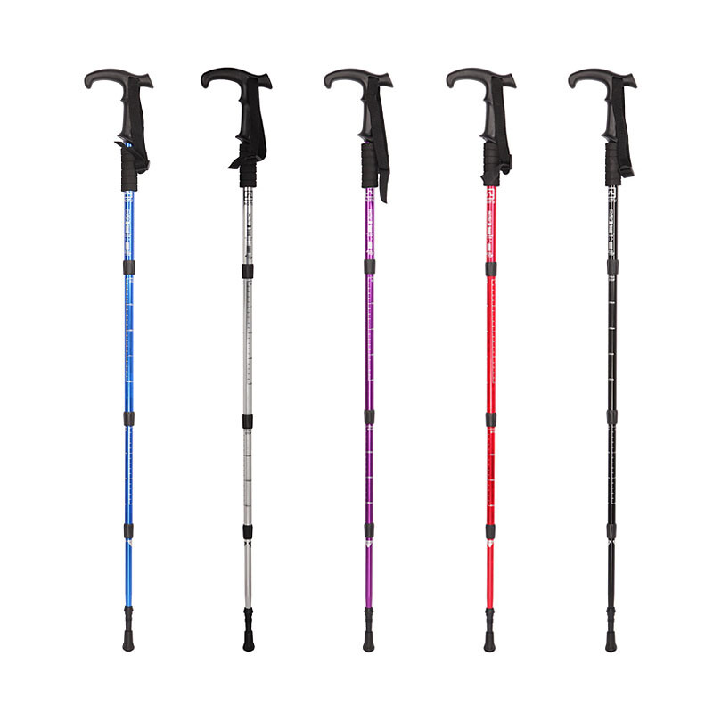 倩女幽魂：人间情 视频海报