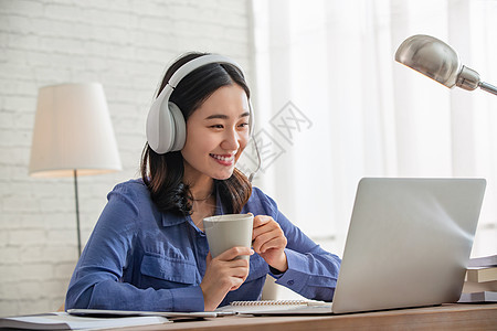 企业动物 视频缩略图