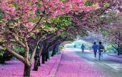 倚天屠龙记大结局 视频缩略图